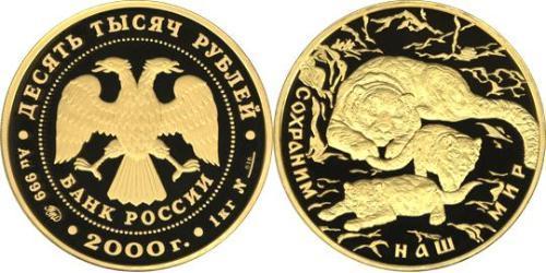 10000 Rublo Federazione russa (1991 - ) Oro 