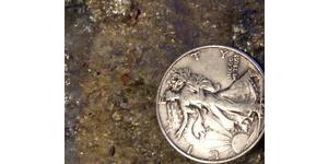 1/2 Dollar Vereinigten Staaten von Amerika (1776 - ) Silber 