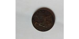 1/2 Penny 大不列颠及爱尔兰联合王国 (1801 - 1922) 青铜 爱德华七世 (1841-1910)