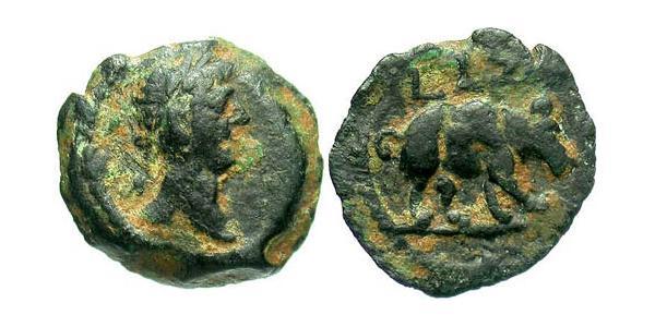 1 Dichalkon 羅馬帝國 青铜 Trajan (53-117)