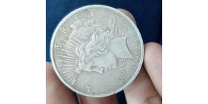 1 Dollar Vereinigten Staaten von Amerika (1776 - ) Silber 