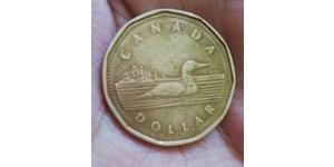 1 Dólar Canadá Latón Isabel II (1926-2022)