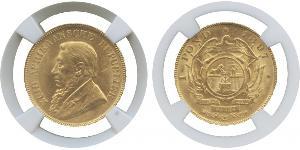 1 Pond South Africa Gold Paul Kruger (1825 - 1904)