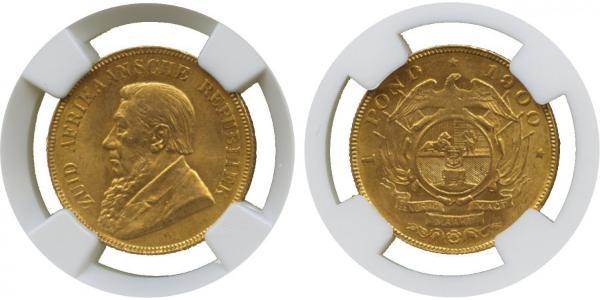 1 Pond South Africa Gold Paul Kruger (1825 - 1904)