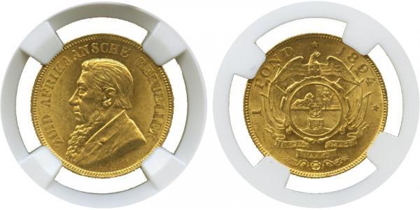 1 Pond Südafrika Gold Paul Kruger (1825 - 1904)