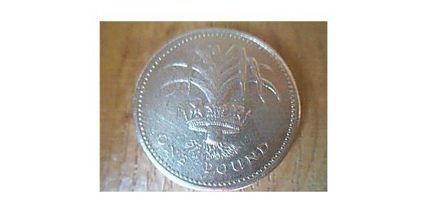 1 Pound Feriind Kiningrik (1922-) Nickel/Laiton Elizabeth II (1926-2022)
