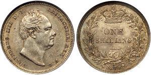 1 Shilling Regno Unito di Gran Bretagna e Irlanda (1801-1922) Argento Guglielmo IV (1765-1837)