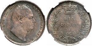 1 Sixpence / 6 Penny Regno Unito di Gran Bretagna e Irlanda (1801-1922) Argento Guglielmo IV (1765-1837)