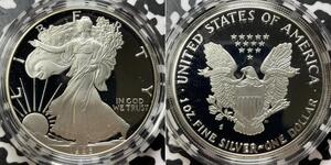 1 Долар США (1776 - ) Срібло 