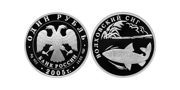 1 Рубль Российская Федерация  (1991 - ) Серебро 