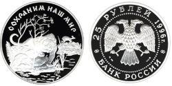 25 Рубль Российская Федерация  (1991 - ) Серебро 