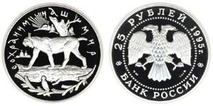 25 Рубль Российская Федерация  (1991 - ) Серебро 