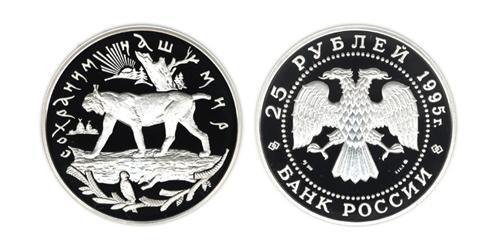 25 Рубль Российская Федерация  (1991 - ) Серебро 
