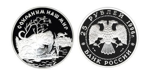 25 Рубль Российская Федерация  (1991 - ) Серебро 