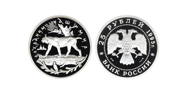 25 Рубль Российская Федерация  (1991 - ) Серебро 