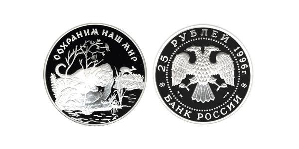 25 Рубль Российская Федерация  (1991 - ) Серебро 