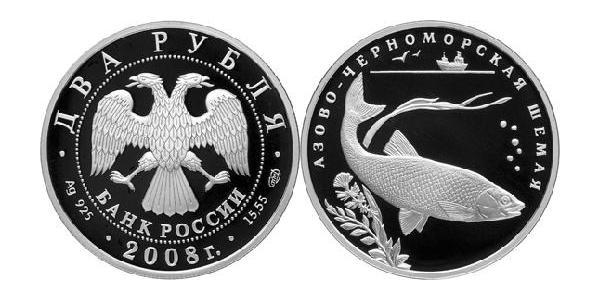 2 Ruble 俄罗斯 銀 