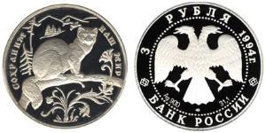 3 Рубль Російська Федерація (1991 - ) Срібло 