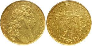 5 Guinea Königreich England (927-1649,1660-1707) Gold Wilhelm III (1650-1702)