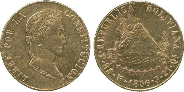 8 Escudo Bolivien (1825 - ) Gold 