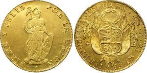 8 Escudo Perù Oro 