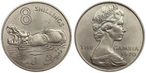 Gambia - 8 Shillings 1970 - Elizabeth II - Hippopotamus